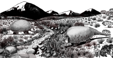 Una misma especie para los gliptodontes sudamericanos
